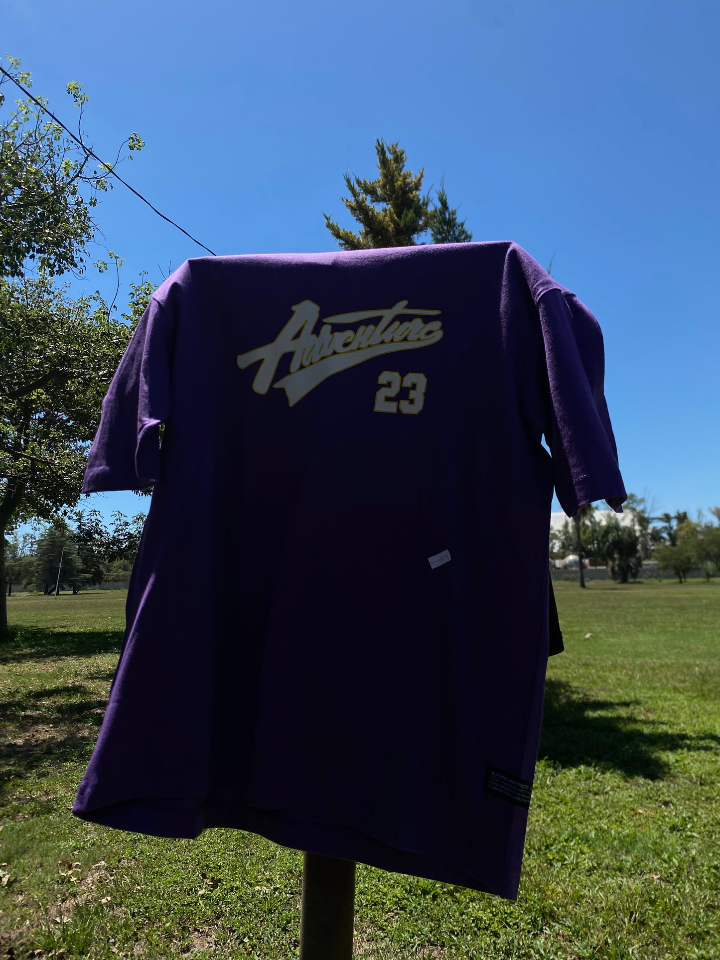 Remera Manga Corta Violeta